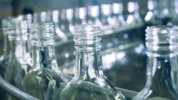 Transportador de fábrica con múltiples botellas de vidrio — Vídeos de Stock
