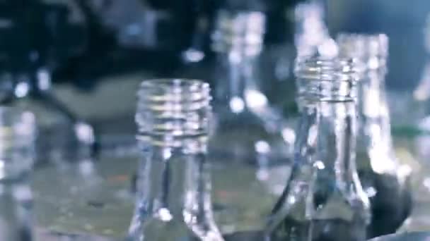 Cuellos de botellas mientras se mueve a lo largo del transportador de fábrica — Vídeos de Stock