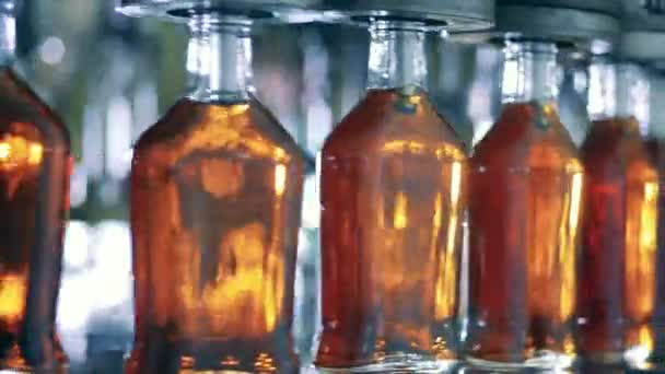Nyproducerade glasflaskor fyllda med alkohol — Stockvideo