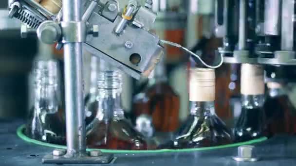 Spinning transportbånd lukker flasker med cognac – Stock-video