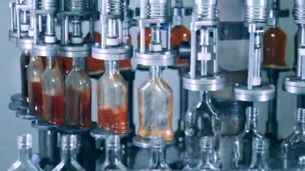 Transportador rotativo está enchendo garrafas de vidro com álcool — Vídeo de Stock