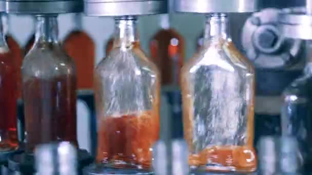 Le bottiglie vuote si riempiono di cognac — Video Stock