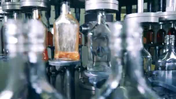 Transportador de fábrica está enchendo garrafas com álcool — Vídeo de Stock