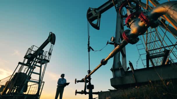 Engineer with laptop controls oil extraction between two oil pumpjacks — Vídeo de Stock
