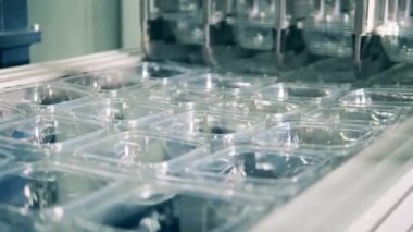 Enjeksiyon kalıplı plastik tepsiler istifleniyor. Üst görünüm.