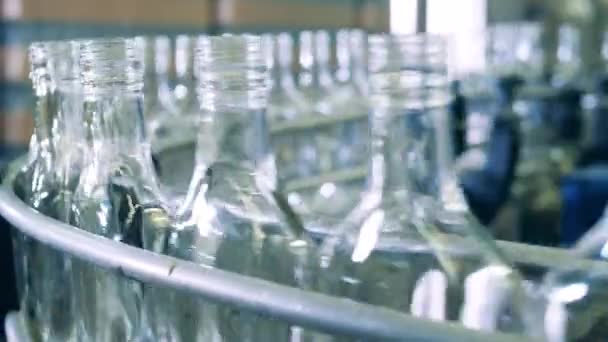 Fechar as garrafas de vidro que se movem ao longo da correia transportadora — Vídeo de Stock
