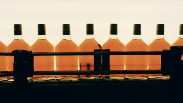 Linea di bottiglie di cognac di nuova produzione sul nastro trasportatore — Video Stock