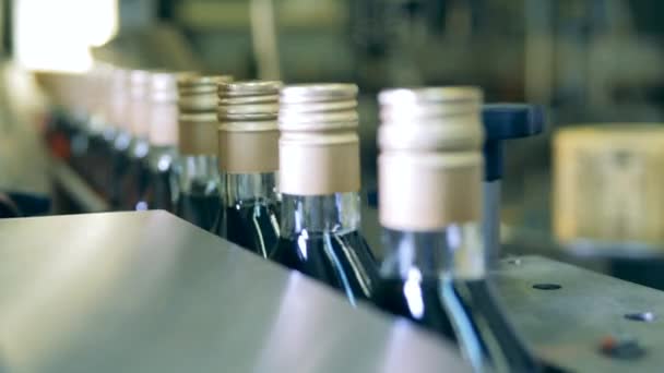 Sealed necks of bottles while moving through the conveyor — Stock Video