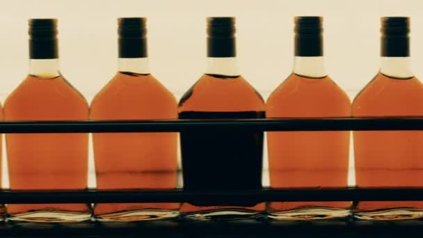 Courroie transporteuse avec bouteilles de cognac se déplaçant le long — Video