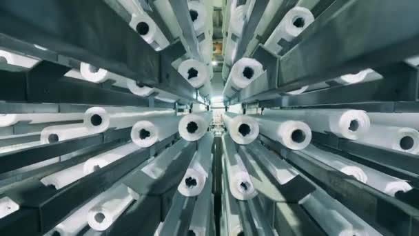 Rouleaux de papier stockés dans les locaux de l'usine — Video