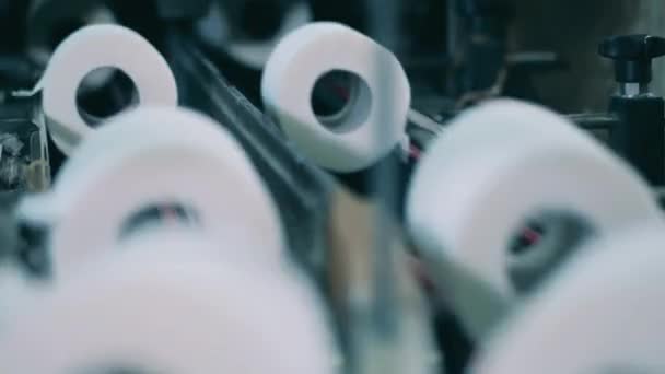 Rolos de papel higiênico estão se movendo ao longo do transportador — Vídeo de Stock