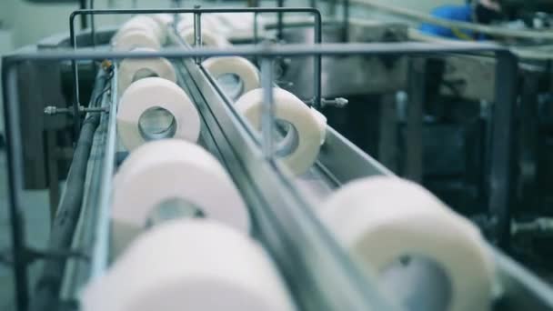 Rolls of toilet paper are moving along the conveyor — Stock Video