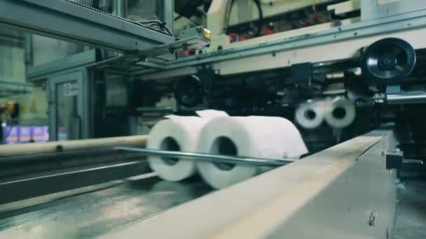 Transportmachine verplaatst wc-papier rollen — Stockvideo