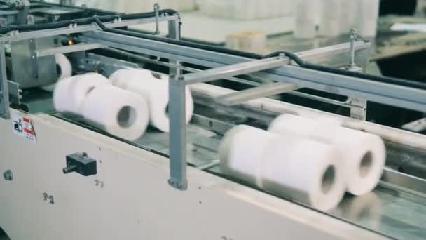 Partier av toalettpapper rör sig längs fabrikstransportören — Stockvideo