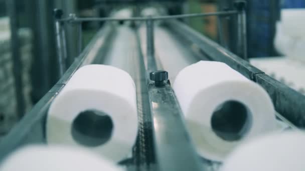 Rolki papieru toaletowego przechodzą przez kanały transportera. — Wideo stockowe