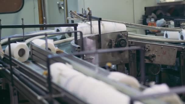 Conveyor machine with multiple toilet paper rolls on it — Stock Video