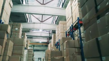 Karton kutularla dolu bir kağıt üretim fabrikasının deposu