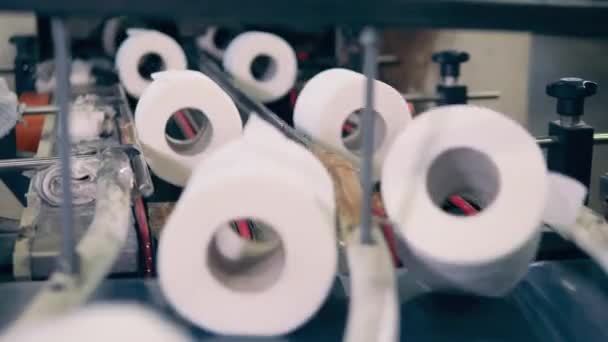 Toilet paper rolls are moving through the industrial conveyor — Stock Video