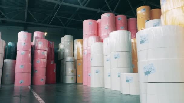 Massive rolls of paper storaged in the factory unit — Stock Video