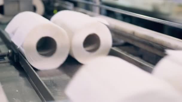 Sets of toilet paper rolls are moving along the industrial machine — Stock Video