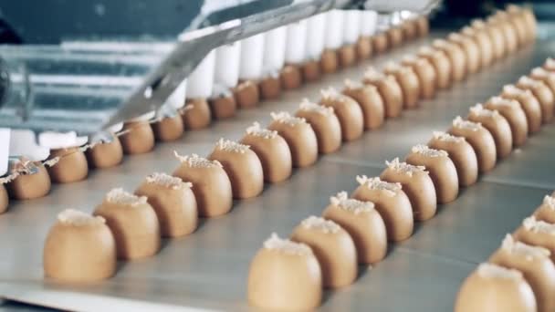 Sweets are getting manufactured by an industrial machine — Stock Video