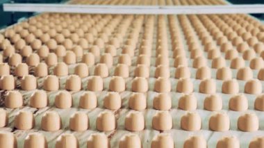 Hareket eden bir taşıma bandının bir sürü şekerleme şekeri