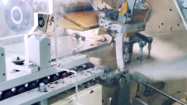 Фабричная машина упаковывает шоколадные конфеты — стоковое видео