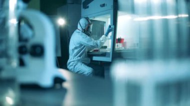 Laboratuvar araştırmacısı test örneklerini inceliyor. Antikorlar araştırması cocnept, covid-19 koronavirüs salgını.