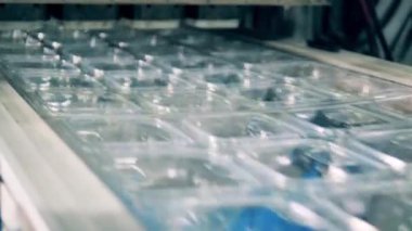 Taşıyıcı boyunca plastik konteynırlar taşınıyor.