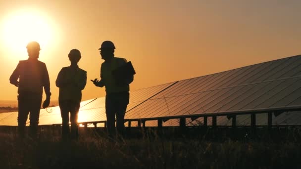 Des experts rétro-éclairés passent devant des piles solaires et en discutent. Concept d'électricité renouvelable. — Video