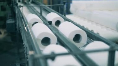 Kağıt fabrikasında taşıyıcı bant boyunca ilerleyen kağıt havlular.