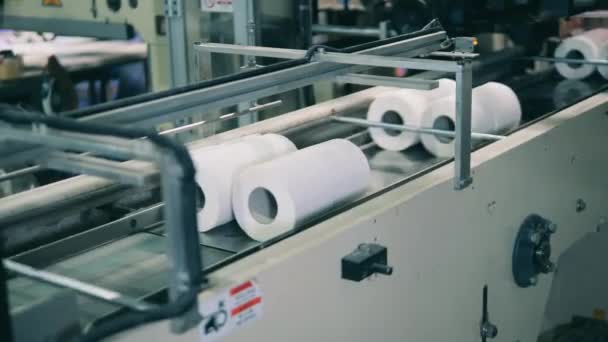 Papier hygiénique se déplaçant le long d'un tapis roulant dans une usine — Video