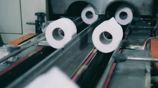 Rotoli di carta igienica che si muovono lungo una linea di produzione in una fabbrica di carta — Video Stock