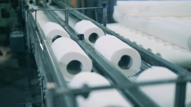 Rollos de toallas de papel moviéndose a lo largo de una cinta transportadora en una planta de papel — Vídeo de stock