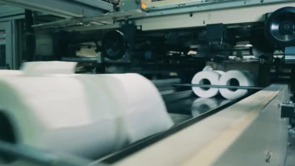 Линия по производству туалетной бумаги на бумажной фабрике — стоковое видео