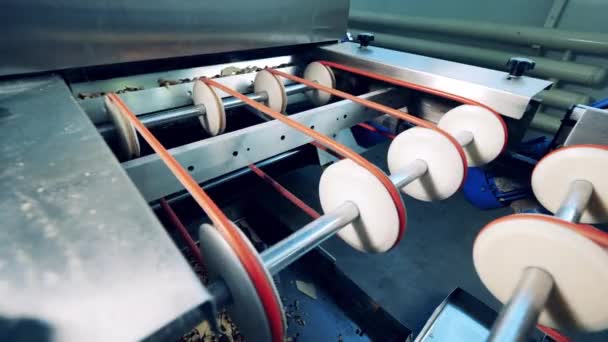 Ο βιομηχανικός μηχανισμός κατασκευάζει στρώσεις βάφλας — Αρχείο Βίντεο