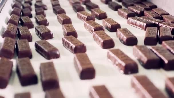 Caramelos cubiertos de chocolate se mueven a lo largo del transportador — Vídeo de stock