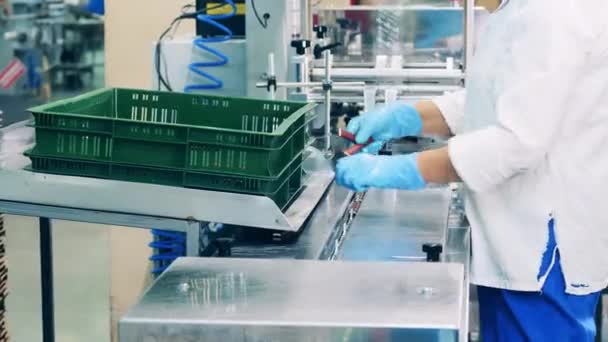 Plant worker is loading candies into the transporter — Stock Video