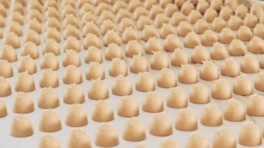 Bir sürü yeni yapılmış şekerle taşıma bandı