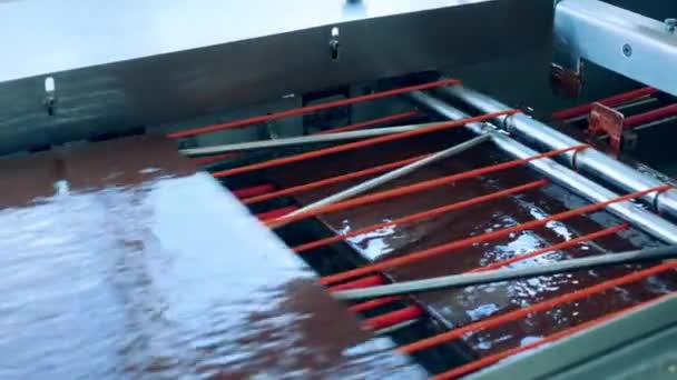 Waffelschichten mit Schokolade überzogen bewegen sich durch die Maschine — Stockvideo