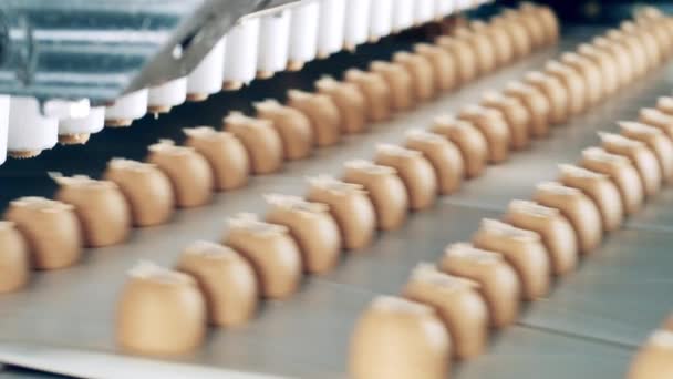 Bonbons werden von einem Fabrikmechanismus hergestellt — Stockvideo