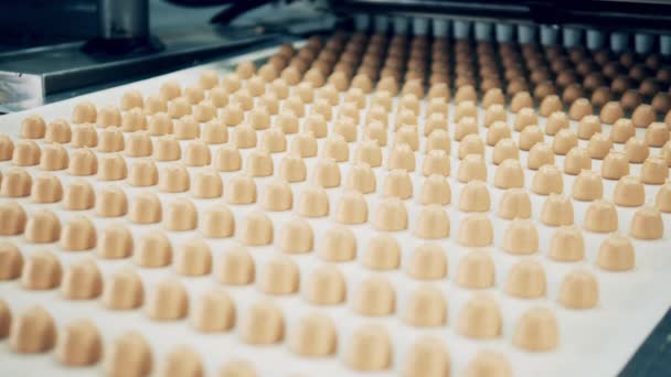 Los caramelos se mueven a lo largo del transportador durante la producción — Vídeo de stock