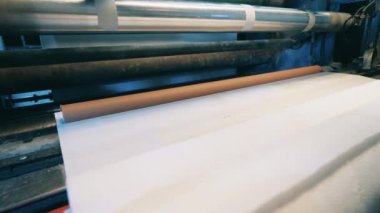 Bir kağıt fabrikasında kağıt kesme makinesinde çalışıyorum.
