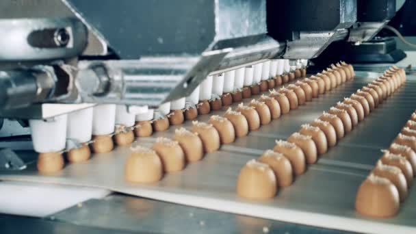 Конвейерный механизм производит конфеты — стоковое видео