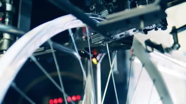 Spokes in a bicycle wheel are getting mechanically adjusted — Stock Video