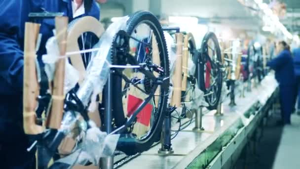 Trabalhador da fábrica leva uma bicicleta recém-fabricada — Vídeo de Stock