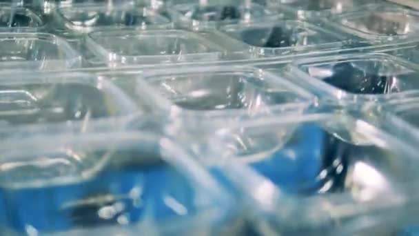 Piccoli contenitori di plastica che si muovono attraverso il trasportatore in un primo piano — Video Stock