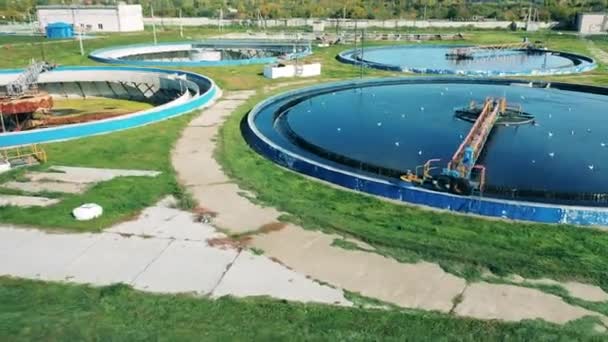 大型污水处理厂的几个圆形净化器 — 图库视频影像