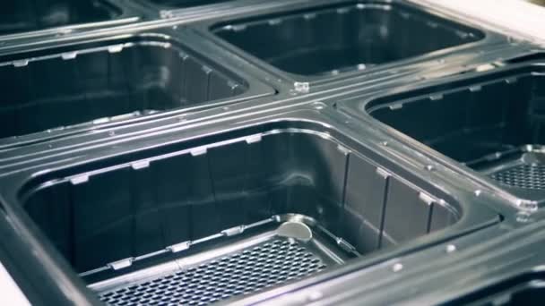 Les contenants en plastique nouvellement fabriqués se déplacent par lots — Video