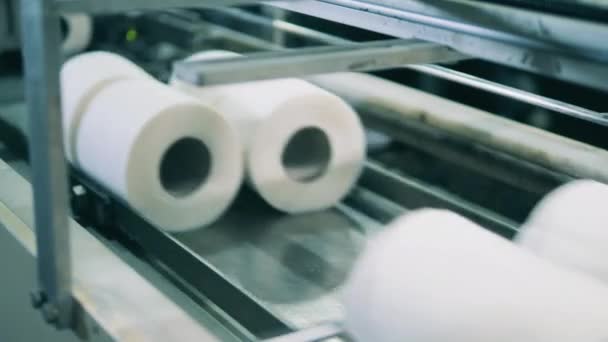 Много рулонов туалетной бумаги, движущихся вдоль конвейера — стоковое видео